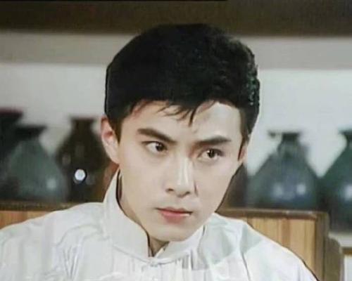 张卫健 电视剧,演绎传奇人生，诠释百变角色